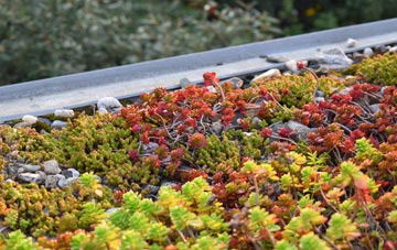 the cost of Fazeley green roof installation